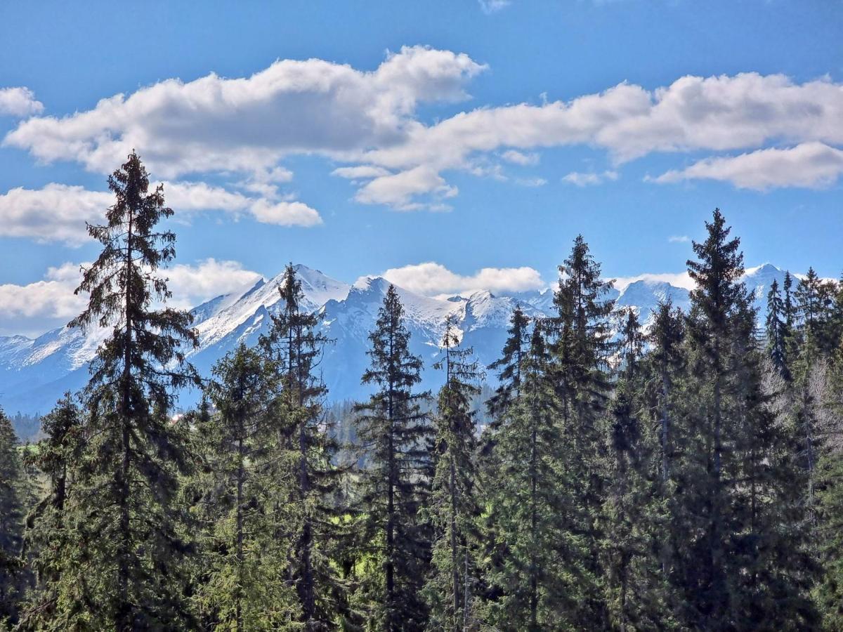 Willabukovinka - Bliskosc Lasu, Wyciagow I Term, Atrakcje Dla Dzieci, Znizki Na Wyciagi, Termy, Karczmy I Atrakcje Bukowina Tatrzanska Bagian luar foto