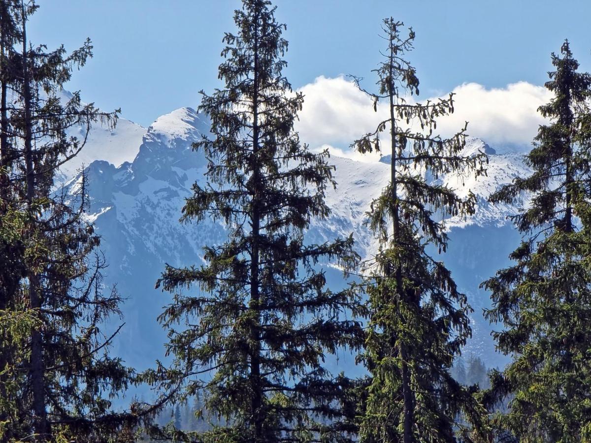 Willabukovinka - Bliskosc Lasu, Wyciagow I Term, Atrakcje Dla Dzieci, Znizki Na Wyciagi, Termy, Karczmy I Atrakcje Bukowina Tatrzanska Bagian luar foto