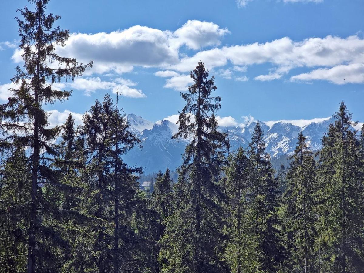 Willabukovinka - Bliskosc Lasu, Wyciagow I Term, Atrakcje Dla Dzieci, Znizki Na Wyciagi, Termy, Karczmy I Atrakcje Bukowina Tatrzanska Bagian luar foto
