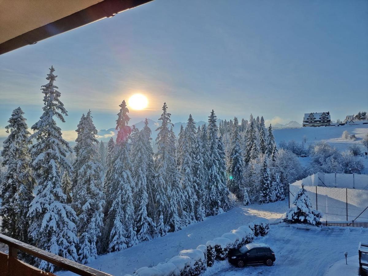 Willabukovinka - Bliskosc Lasu, Wyciagow I Term, Atrakcje Dla Dzieci, Znizki Na Wyciagi, Termy, Karczmy I Atrakcje Bukowina Tatrzanska Bagian luar foto