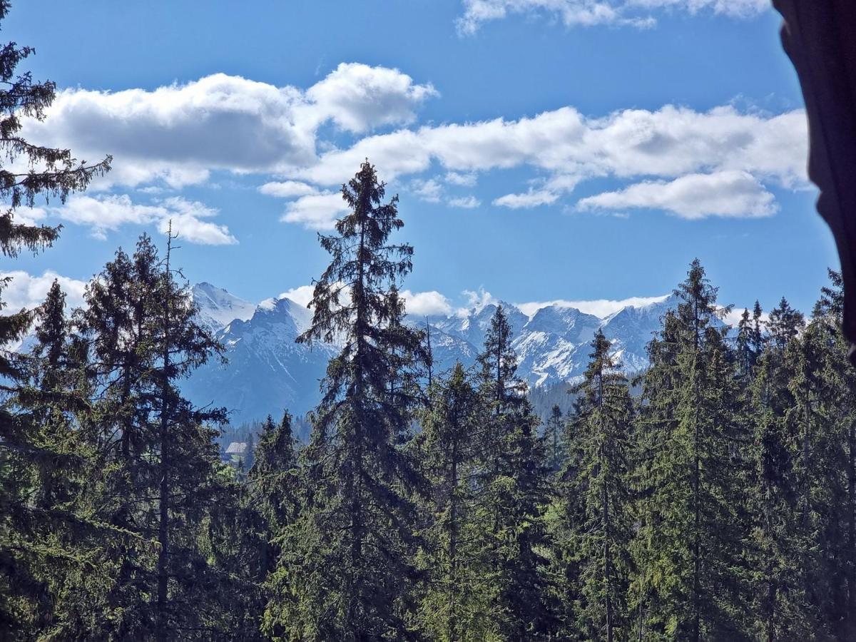 Willabukovinka - Bliskosc Lasu, Wyciagow I Term, Atrakcje Dla Dzieci, Znizki Na Wyciagi, Termy, Karczmy I Atrakcje Bukowina Tatrzanska Bagian luar foto