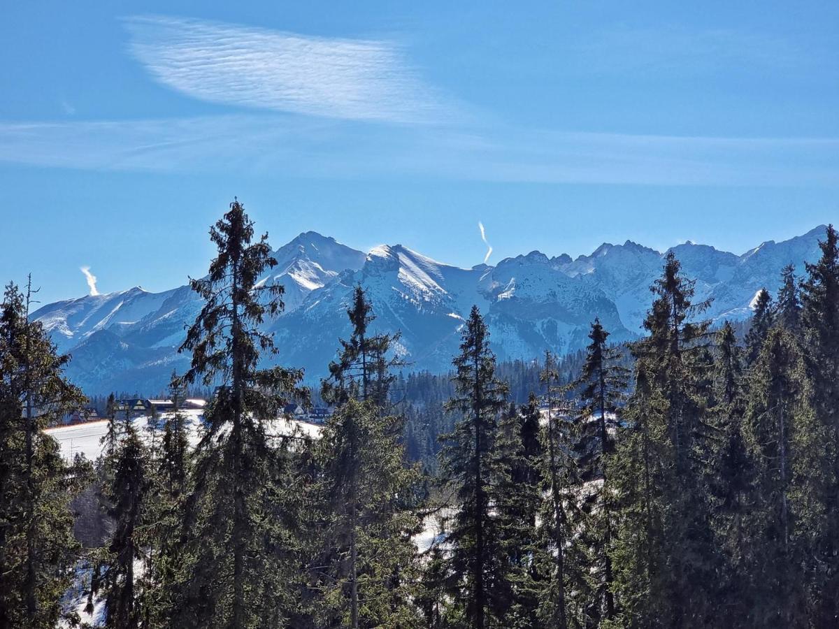 Willabukovinka - Bliskosc Lasu, Wyciagow I Term, Atrakcje Dla Dzieci, Znizki Na Wyciagi, Termy, Karczmy I Atrakcje Bukowina Tatrzanska Bagian luar foto