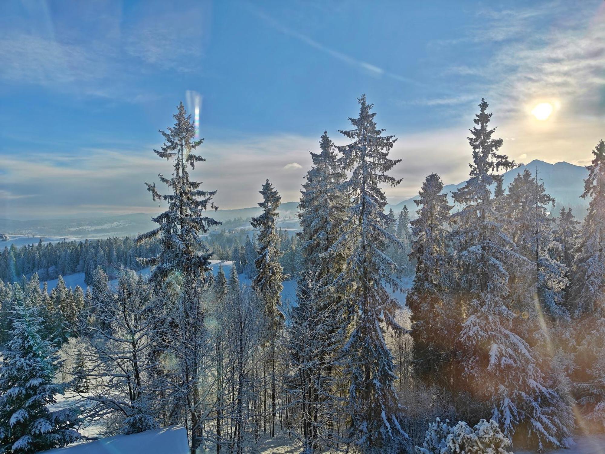 Willabukovinka - Bliskosc Lasu, Wyciagow I Term, Atrakcje Dla Dzieci, Znizki Na Wyciagi, Termy, Karczmy I Atrakcje Bukowina Tatrzanska Bagian luar foto